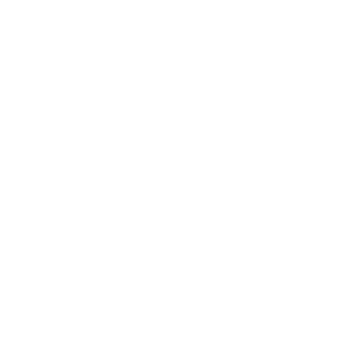 Critical EV Supply Chain