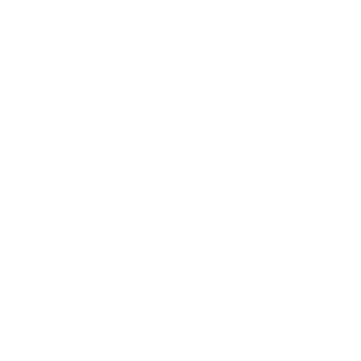 Indonesia's Long Term Opportunity